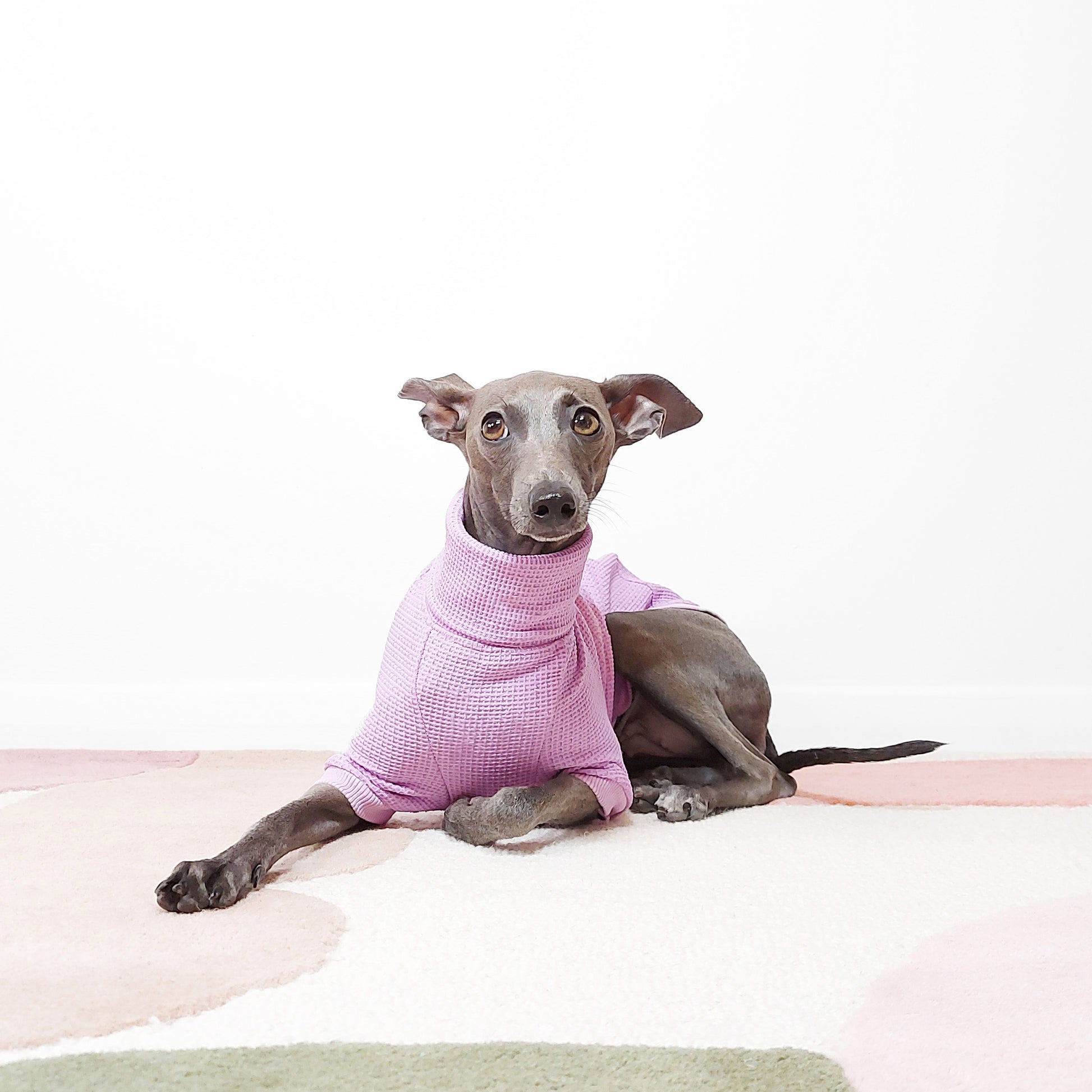 Mock neck short sleeve lilac dog t-shirt by Le Pup