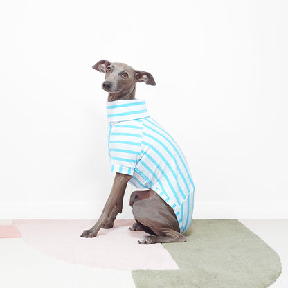 Cute Italian greyhound wearing a handmade eco-friendly organic cotton striped dog jumper by Le Pup