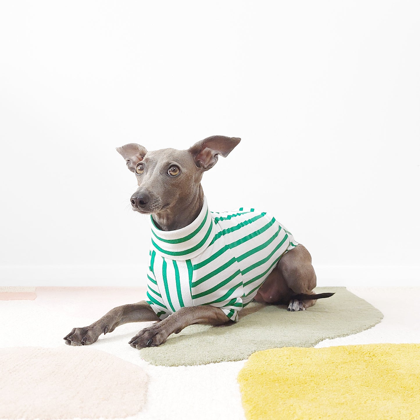 PETIT POIS - Organic Dog T-Shirt (GOTS)