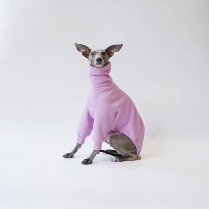 Sitting shot of Italian Greyhound in a Lilac LÈ PUP dog jumper made from sustainable oeko tex fleece-lined sweatshirt material by LE PUP.