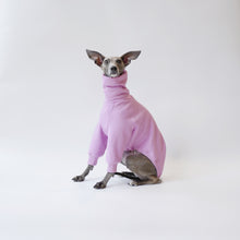 Load image into Gallery viewer, Italian Greyhound standing in a Lilac LÈ PUP dog jumper made from sustainable oeko tex fleece-lined sweatshirt material
