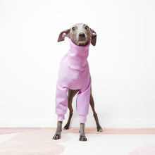 Load image into Gallery viewer, Cute Italian greyhound wearing a handmade lilac dog jumper by Le Pup
