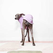 Load image into Gallery viewer, Photo from behind of a whippet in a lilac dog t-shirt by LÈ PUP
