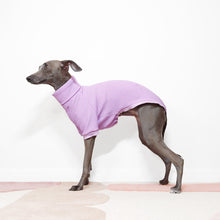 Load image into Gallery viewer, Italian greyhound in a stylish lilac short sleeved dog t-shirt
