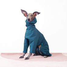 Load image into Gallery viewer, Cute teal dog rain suit by Le Pup London
