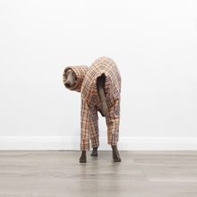 Load image into Gallery viewer, BLUBERRY - Dog Jumpsuit
