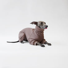 Load image into Gallery viewer, Tofu the Italian greyhound sitting in a cappuccino LÈ PUP Noki dog onesie
