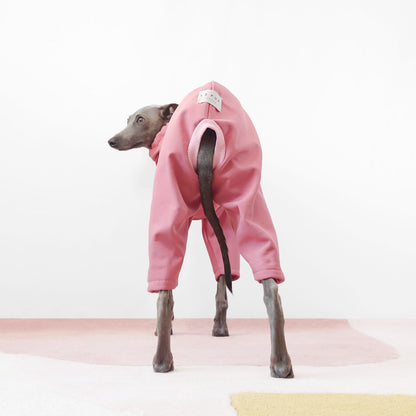 Back-view of Italian Greyhound dressed in a sleek waterproof softshell raincoat for all-weather protection by LE PUP.