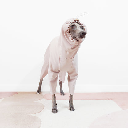 Italian greyhound and whippet beige waterproof dog coat by LE PUP