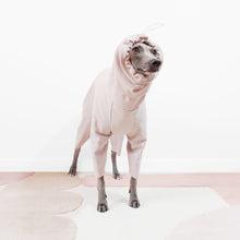 Load image into Gallery viewer, Italian greyhound and whippet beige waterproof dog coat by LE PUP
