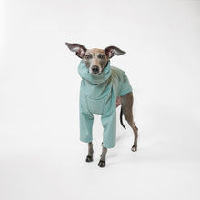 Load image into Gallery viewer, Sighthound jumper made from waterproof softshell by LE PUP
