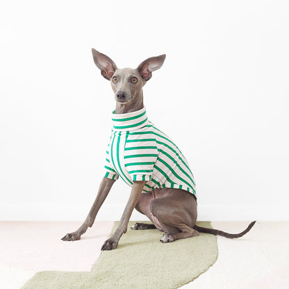 PETIT POIS - Organic Dog T-Shirt (GOTS)