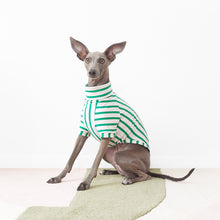 Load image into Gallery viewer, PETIT POIS - Dog T-Shirt
