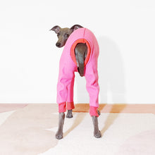 Load image into Gallery viewer, Tofu the italian greyhound wearing a pink Le Pup dog jumpsuit
