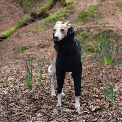 Whippet standing in forest wearing custom made waterproof dog raincoat made from softshell by LE PUP.