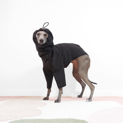 Italian greyhound and whippet wearing black waterproof dog raincoat with adjustable hood up by LE PUP